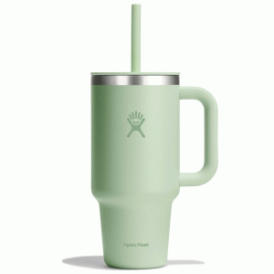 (no title)HYDRO FLASK - 32 OZ ALL AROUND TRAVEL TUMBLER-ALOE